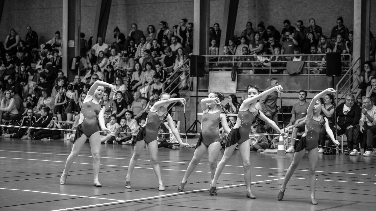 Chalenge de Printemps FSCF